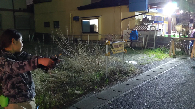 調教中！！トルクメニアンワシミミズクご案内✨の記事動画