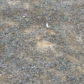 タバコで綺麗な公園汚すな‼️の画像