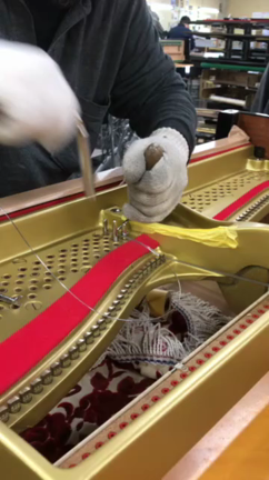 わしの昼間のお仕事の記事動画
