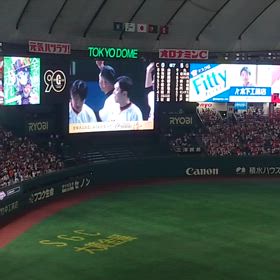 8月は野球観戦の画像