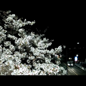 仕事帰りにの画像