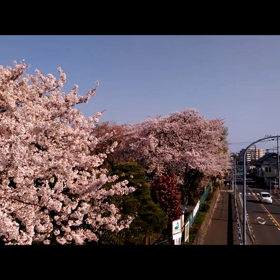 近所での画像