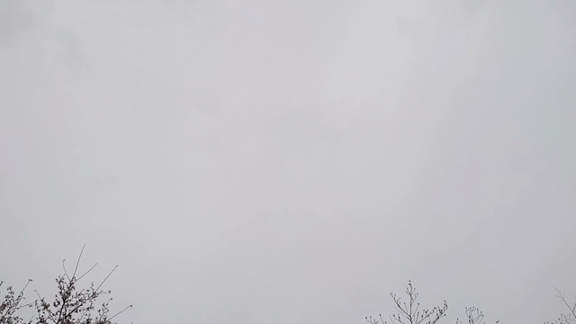 本日は。。具合が悪いので。の記事動画