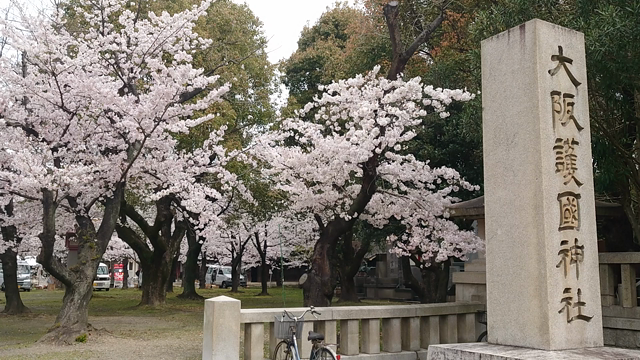 本日は大阪護国神社までさくら狩りの記事動画