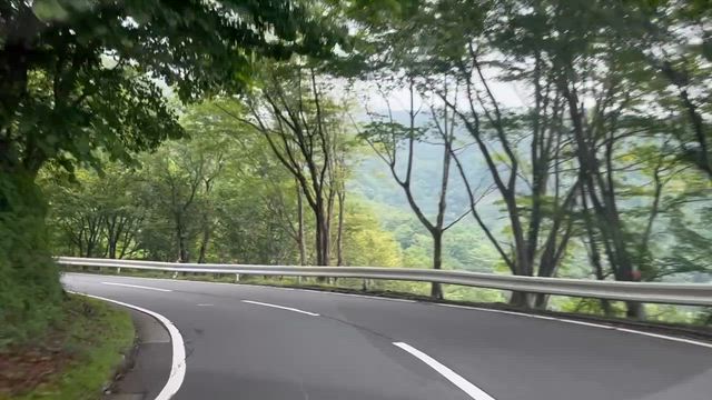 〈後編〉 峠三昧最高の日光ツーリング！！の記事動画