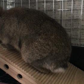 滑り台の画像