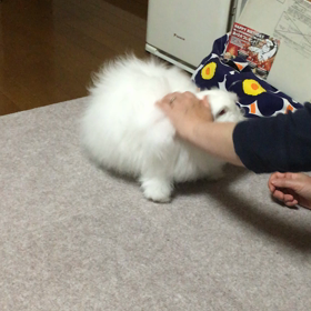 ナリもジャンプ！の画像
