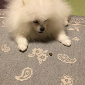 間違えてます。の画像