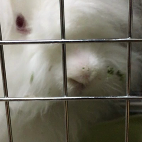 ぽりぽりの画像