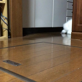 全力疾走の画像