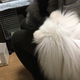 どんだけ好きやねん！の画像