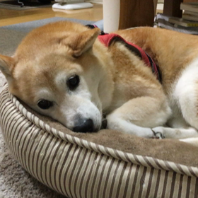 眠たい時は要注意の画像