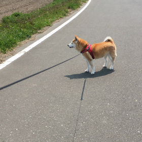 必要至急の外出の画像
