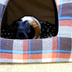 りらっくす～の画像