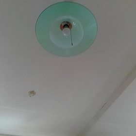 とんだよの画像