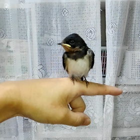 リラックスの画像