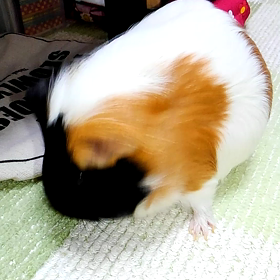 約３０秒の画像