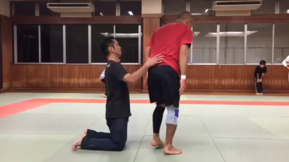 お久し振りで御座います。の記事動画