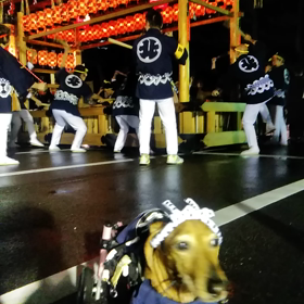 鼕行列前夜祭　宵宮を楽しむちょびの画像