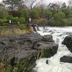 雨で増水？ナイアガラの小型版、曽木の滝。の画像
