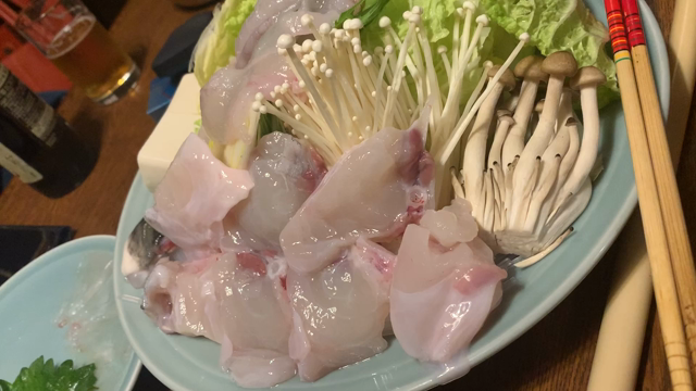 新鮮なフグの記事動画