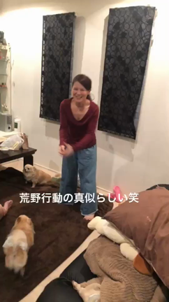 携帯ゲーム「荒野行動」の記事動画