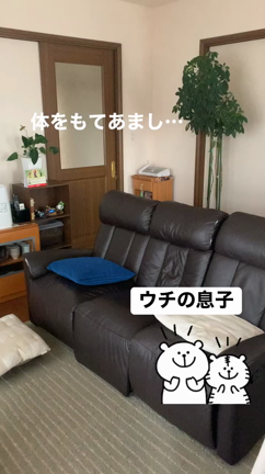 ウチの息子が…の記事動画