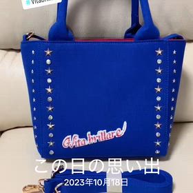 星スタッズバッグの画像
