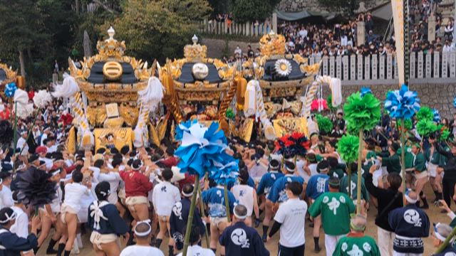 荒川神社の秋祭り、別名「小芋祭り」へ！屋台かき手の熱気を肌で感じる！！！の記事動画