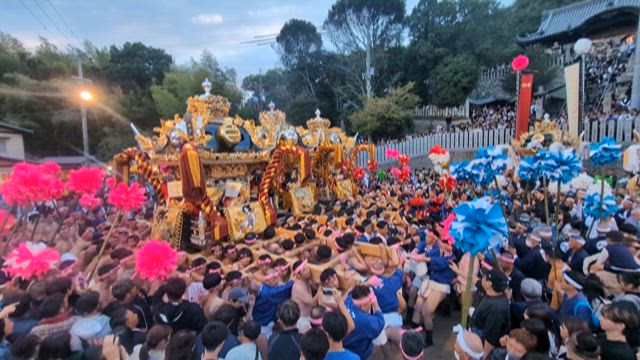 荒川神社の秋祭り、別名「小芋祭り」へ！屋台かき手の熱気を肌で感じる！！！の記事動画