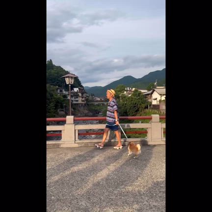 2024/08/21の記事動画