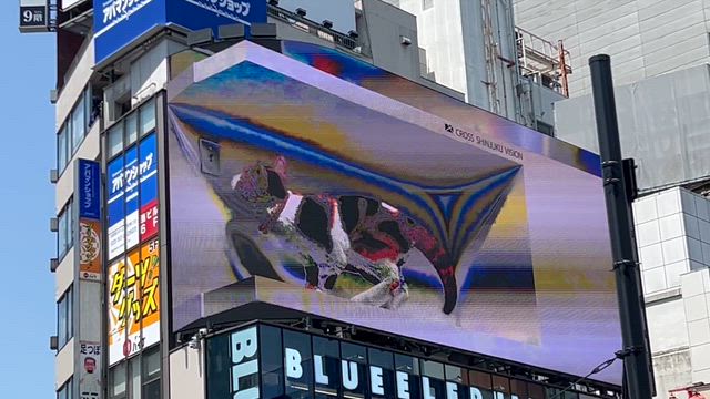 公園内でランチの記事動画