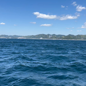 航の画像