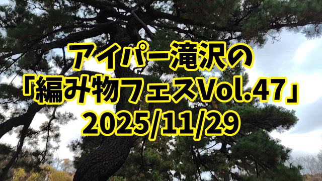 編みフェスして来たホゥ!の記事動画