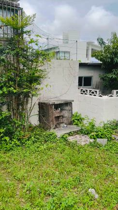 内原の殿　in    根差部の記事動画
