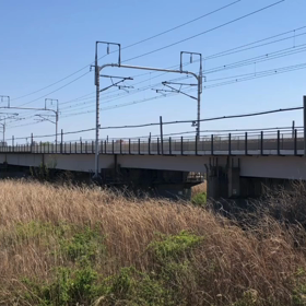 スマホ動画７連発 ^ ^の画像