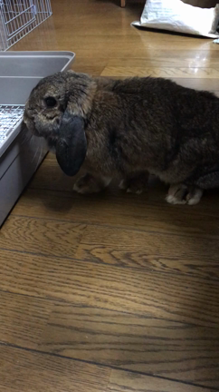 いろいろ文句ありますよ‼️の記事動画