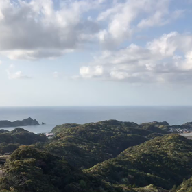 この動画なら癒されること間違いなしの画像