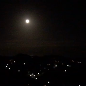 なんて贅沢なお月見の画像