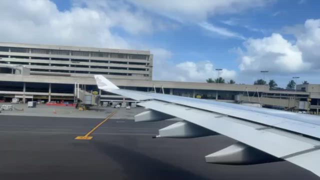 帰国しましたの記事動画