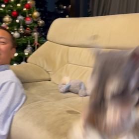 盛り上がってますの画像