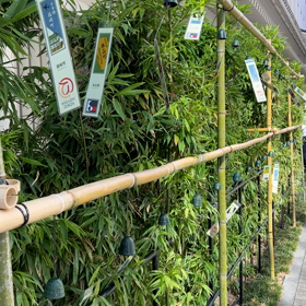 涼をプレゼントの画像