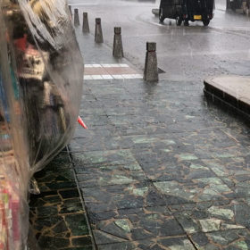 突然の猿沢池のゲリラ雨　の画像