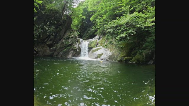 北杜市・尾白川　尾白川渓谷キャニオニングの記事動画
