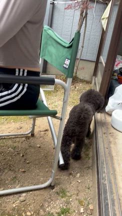 BBQの記事動画