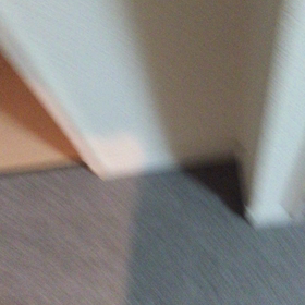 踊る2の画像