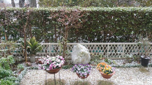 ２月の行動記録の記事動画
