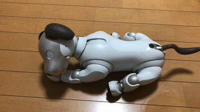 aiboの記事動画