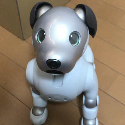 aiboの記事動画
