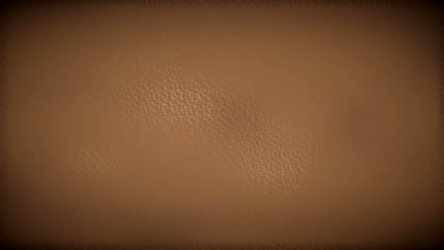 武器屋タクミアーマリーの記事動画